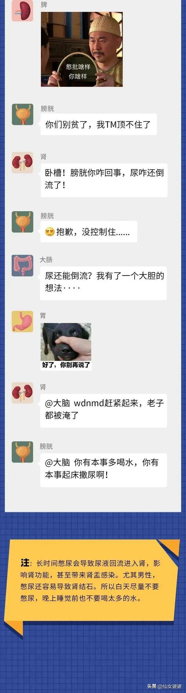 尿液可以逆流回膀胱吗,尿液可以反流至输尿管可以自愈吗