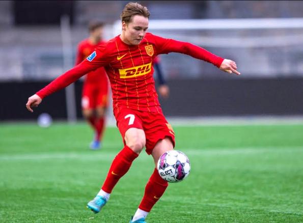 欧洲第一大黑店,欧洲第一黑店赚多少钱