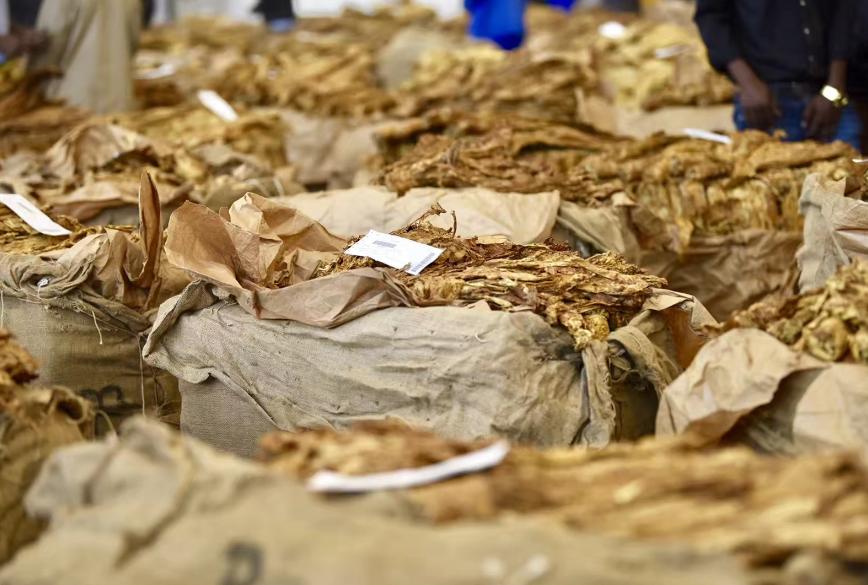 全国最大造假烟地方,中国假烟第一村收入