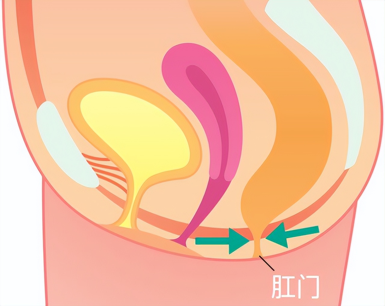 洗肛门会产生什么影响,每次都清洗肛门有何作用
