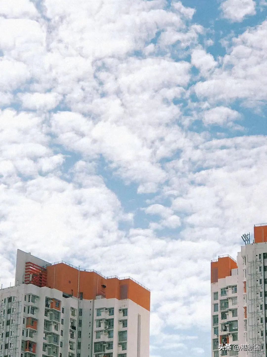 住在香港是什么样的感觉,住在香港沙田怎么样