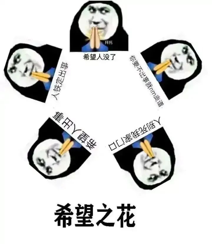 小狗给小狗撑伞表情包,小狗洗澡可爱超萌表情包