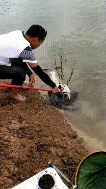 上课衣服穿反怎么办,上课忘记穿裤子该怎么办