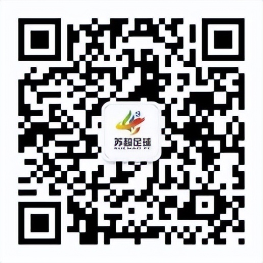 苏超足球俱乐部,国家体育总局调研组来我市调研