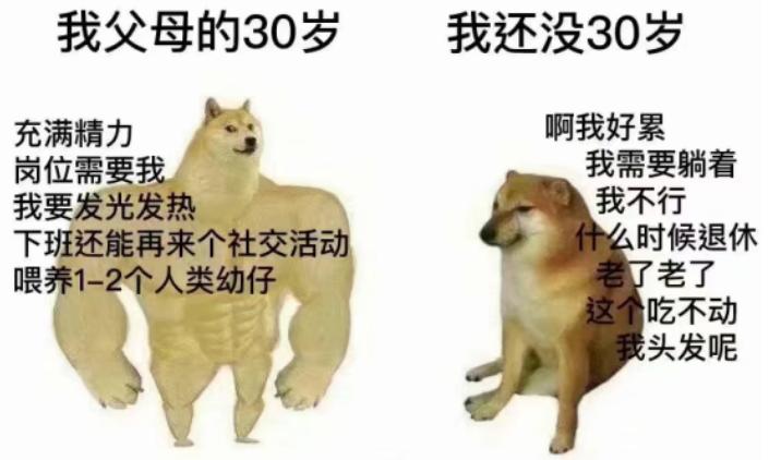 七匹狼腰带大人,七匹狼新款潮流腰带