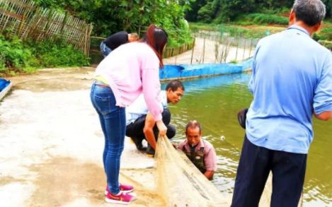 大闸蟹养殖致富路线,自己家如何养殖大闸蟹赚钱