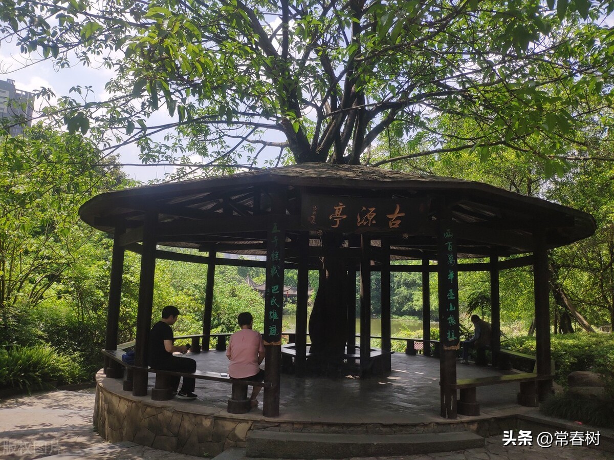 重庆最有可能被合并的区县,重庆市管辖区域有多少个区县