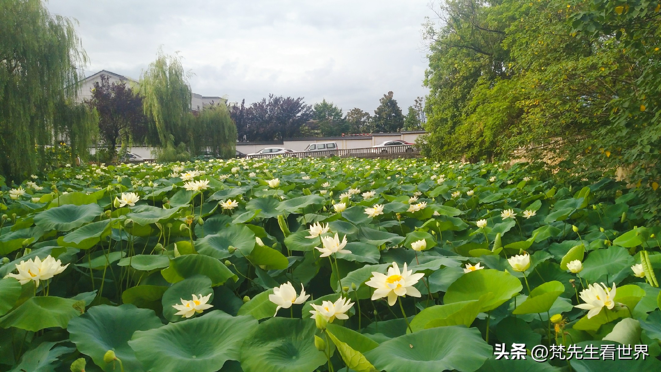 中国人压力越来越大幸福感在哪里,现代人的幸福感为什么越来越少