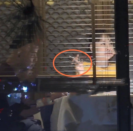 张茜张卫健吃火锅,张卫健夫妇吃火锅