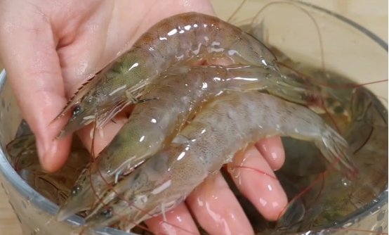 买虾不抓虾的方法,买虾的正确方法和注意事项