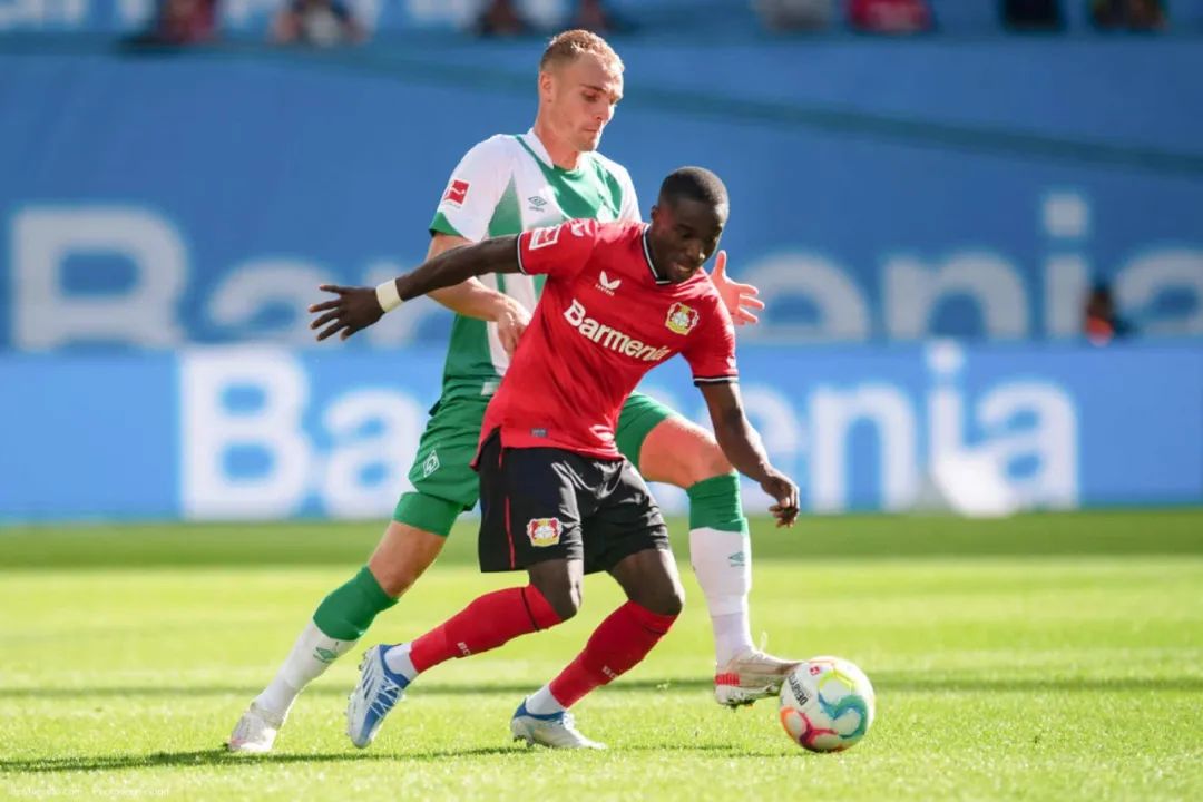 龙哥德甲集锦视频,龙哥回东北完整版