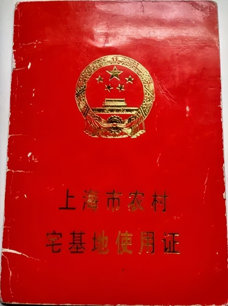 上海钉子户张新国硬撑14年,上海最牛的钉子户张国良