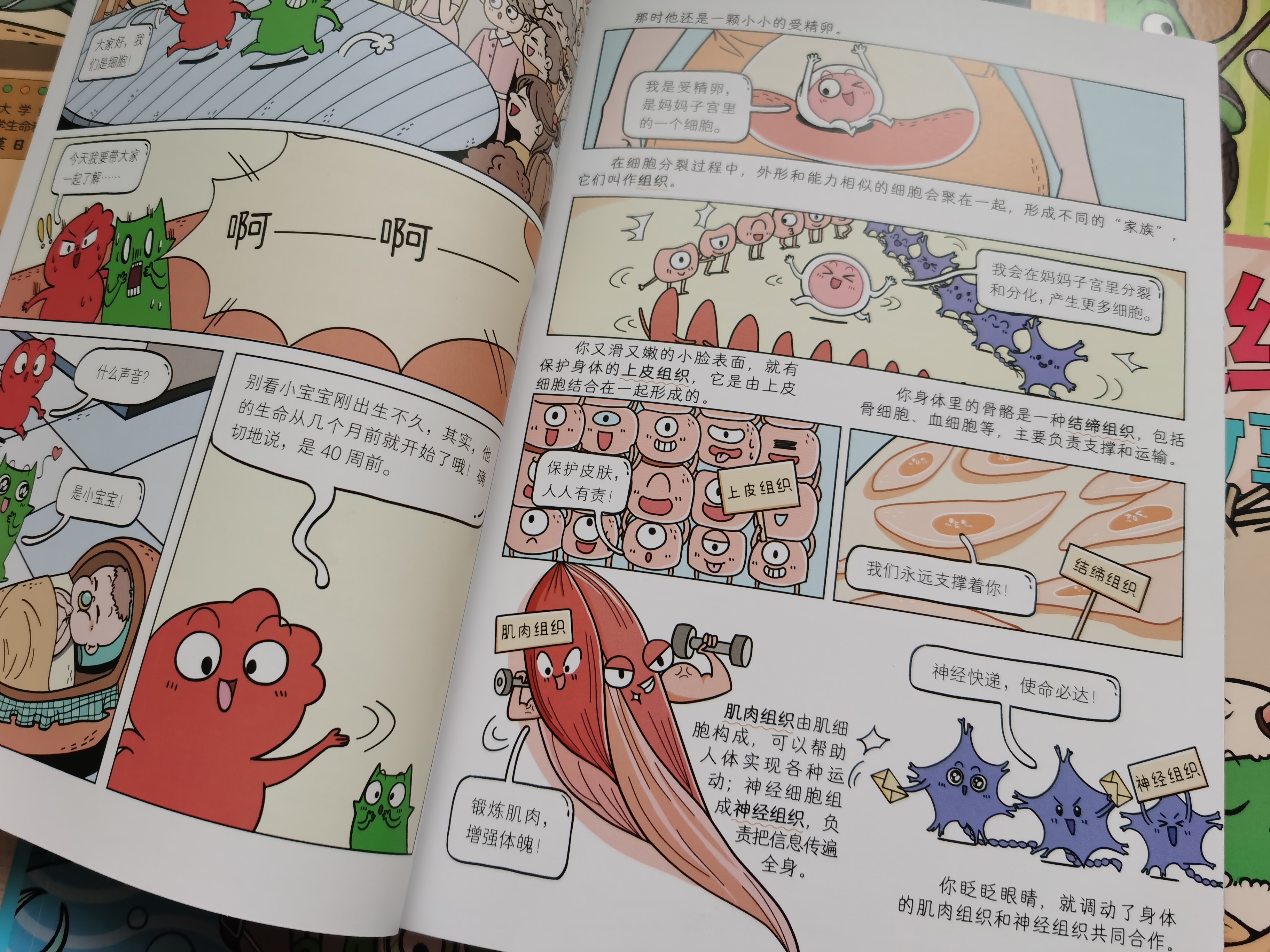 有趣又有料的漫画生物启蒙科普，为孩子开启生命探索之旅
