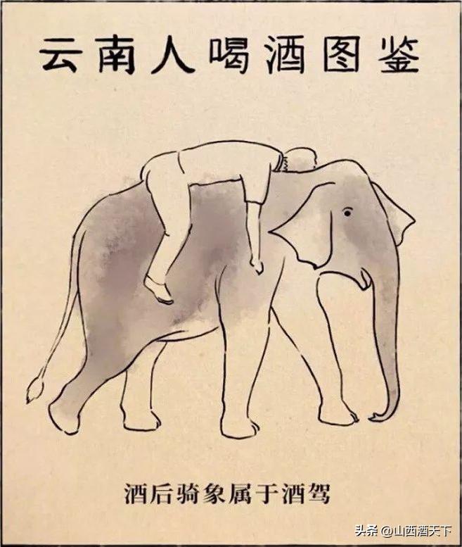 哪里酿的白酒最好喝,喝酒排行前十是哪个省