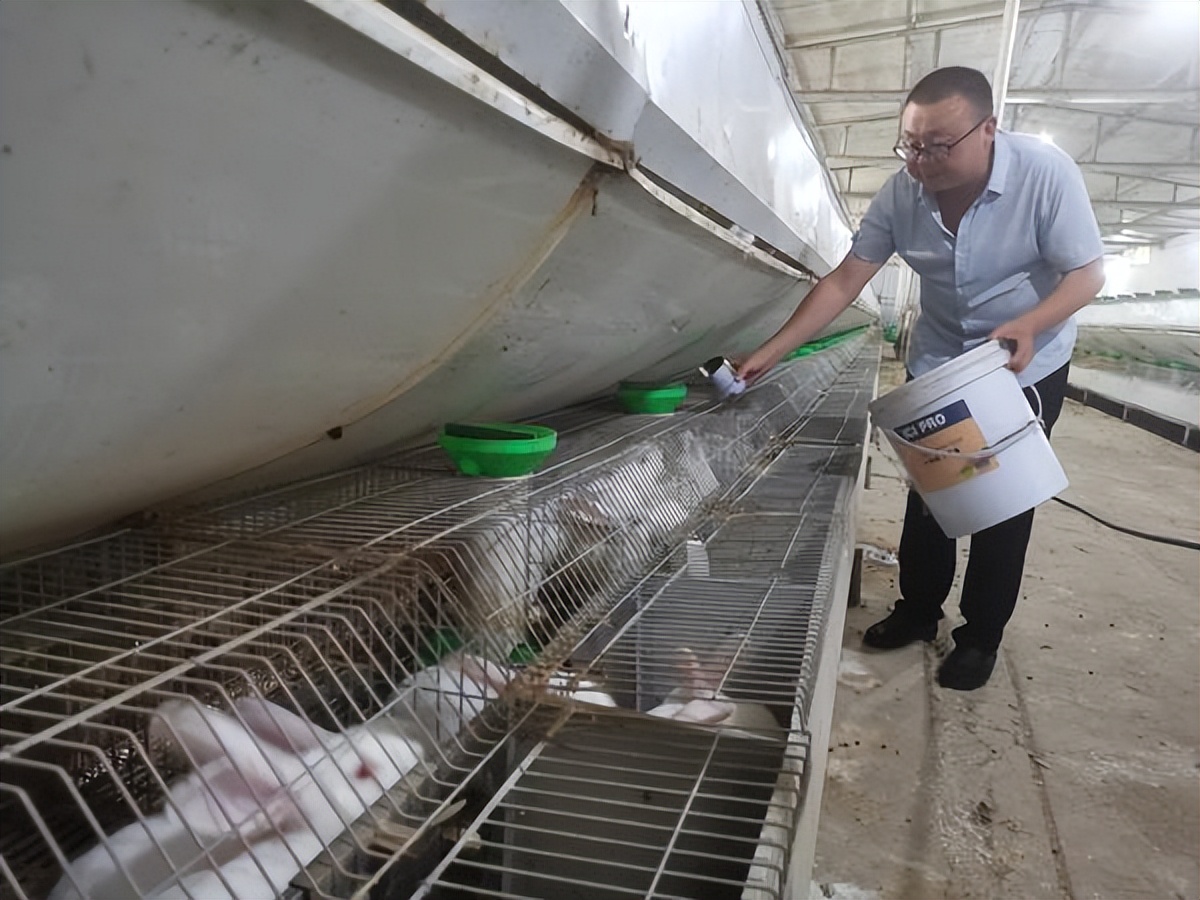 河南地区种养结合循环农业,河南宝丰一乡一业打造精品农业