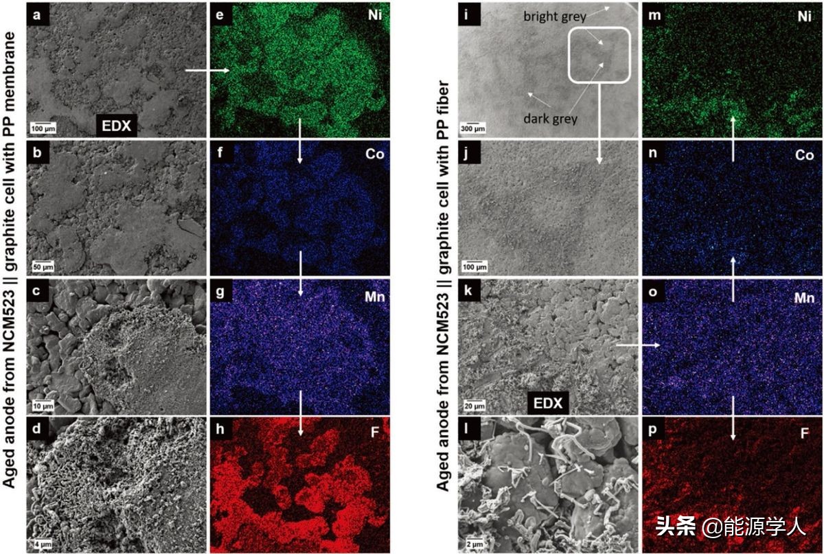 AEM：隔膜对高压NCM523||石墨锂离子电池失效机制的影响