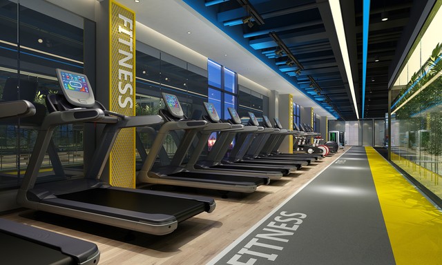 飞鸟龙门架健身器材最好品牌,健身器材品牌哪家性价比最高