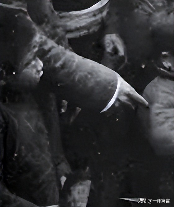 日军侵华留下遗物老照片,侵华日军发糖