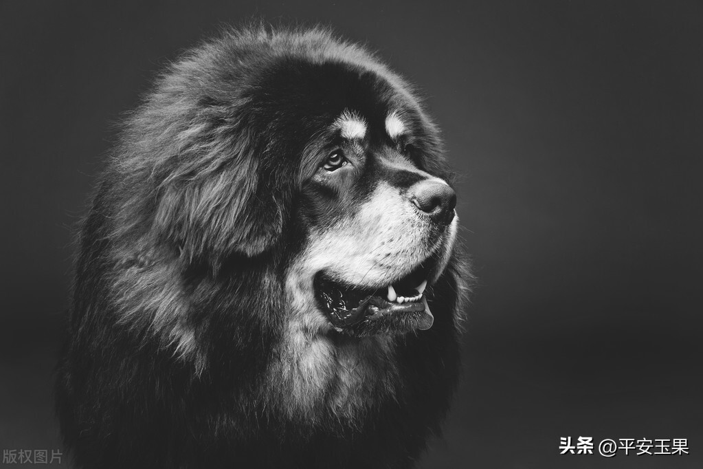 一次摄影的经历,一次拍摄失误的后果