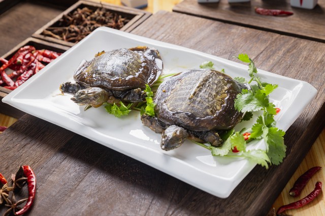 农村养猪怎样养才能赚到钱,想在农村养猪不知道怎么养才赚钱