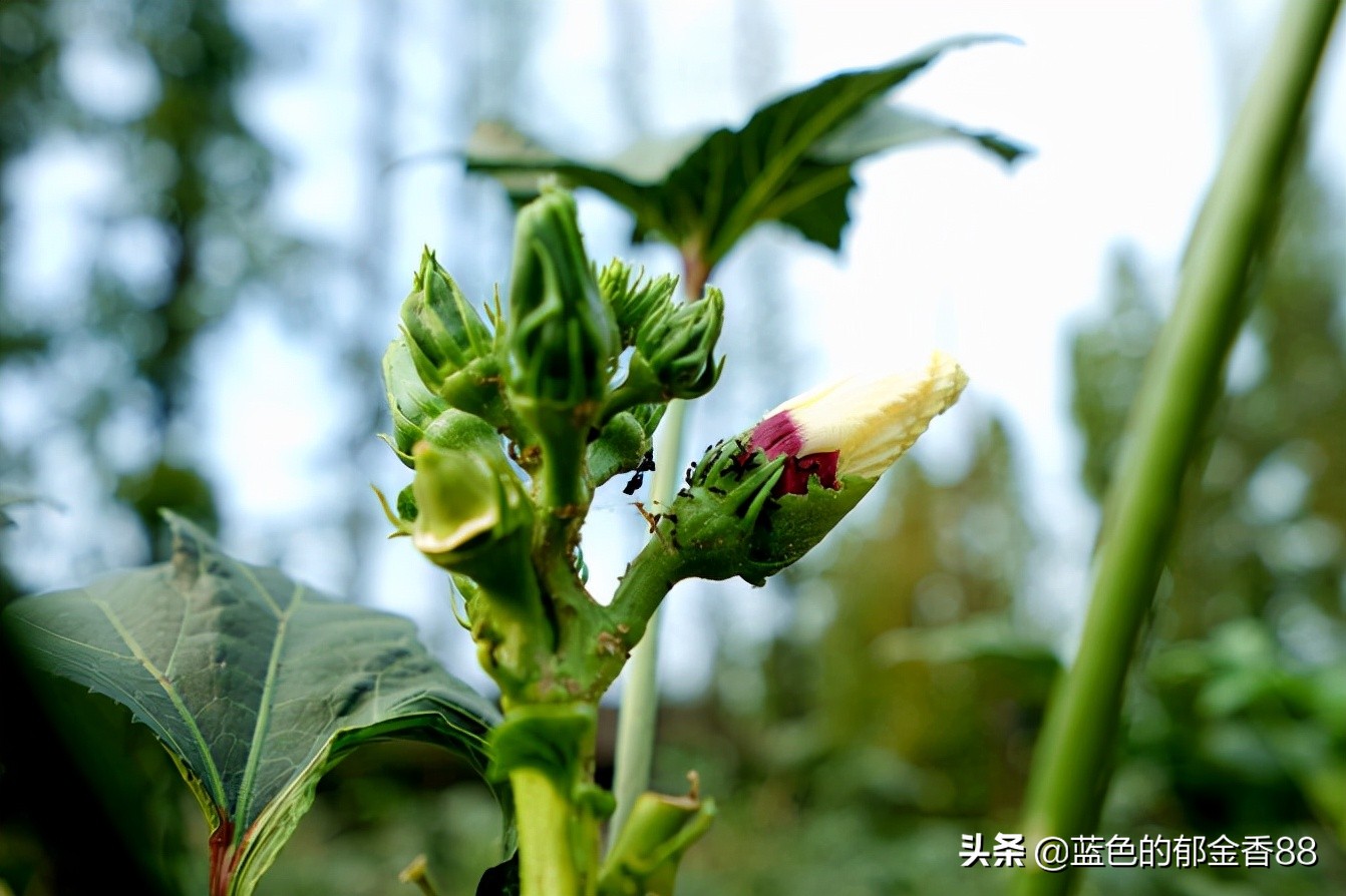 无名河我心中的伊甸园,画出我心中的伊甸园