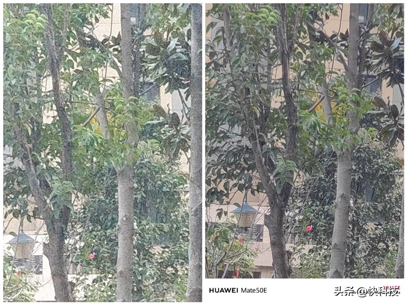 华为mate50e跟mate50值得购买吗,华为mate50e和mate50哪个值得买