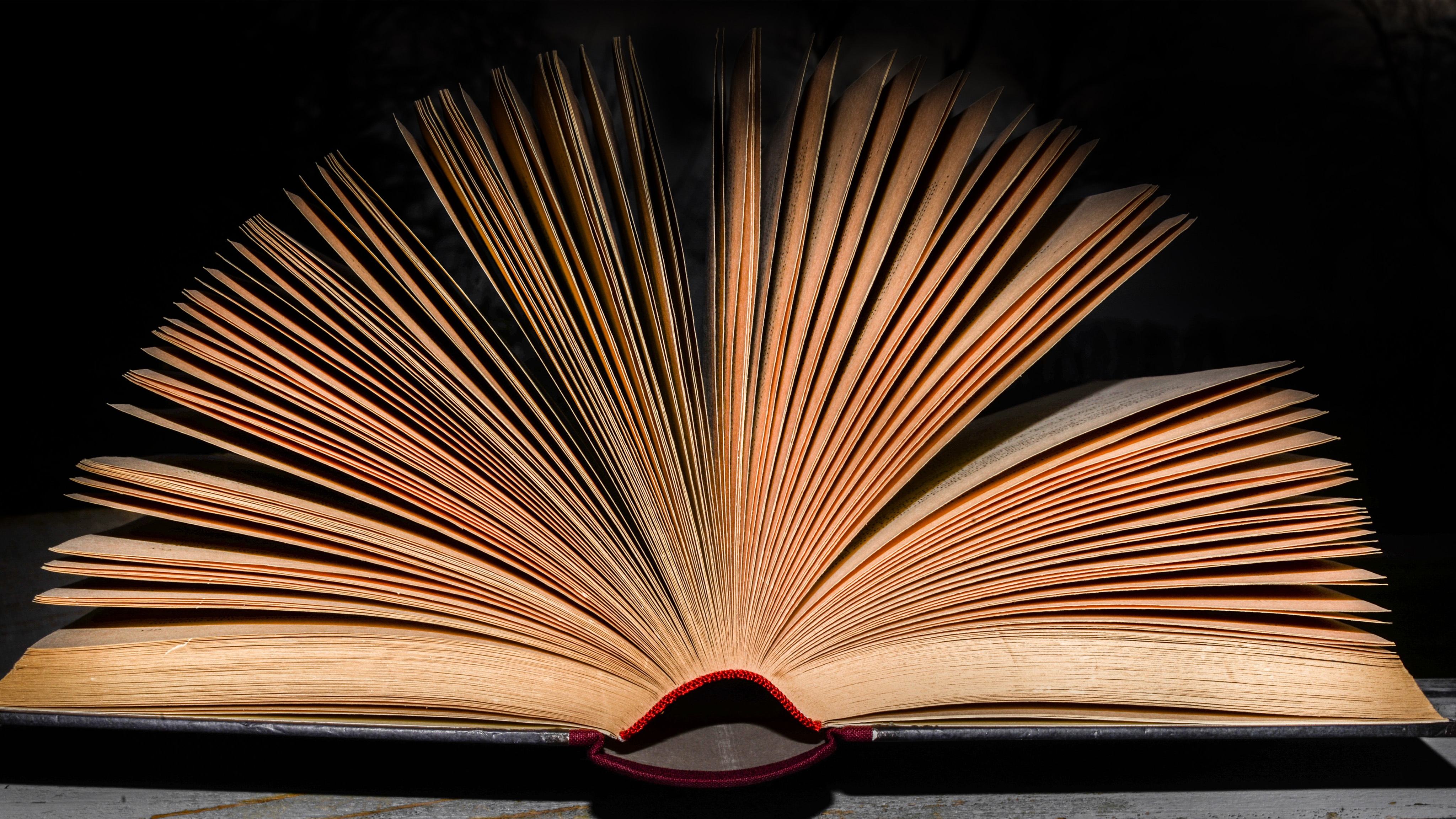 新手小白做自媒体20天的收益如何,一篇文章收益达到100