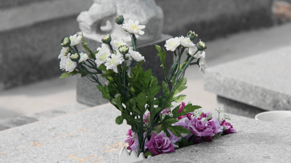 四种花只因太晦气，很少有人愿意养家里，换做是你，你会介意吗？