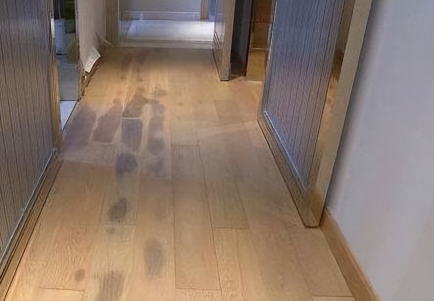 好用的地板清洁剂测评,超好用的一款地板清洁剂