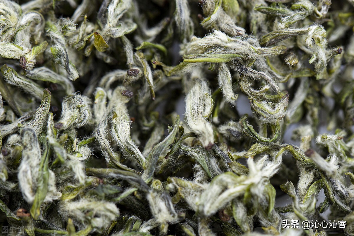 这6款茶，皇帝都爱喝，而且年年上贡