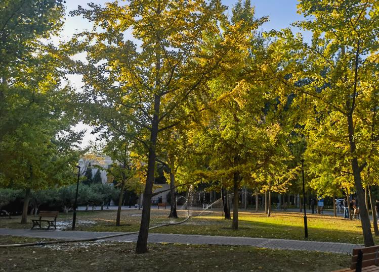 ipo参考,尚阳通科创板ipo获受理