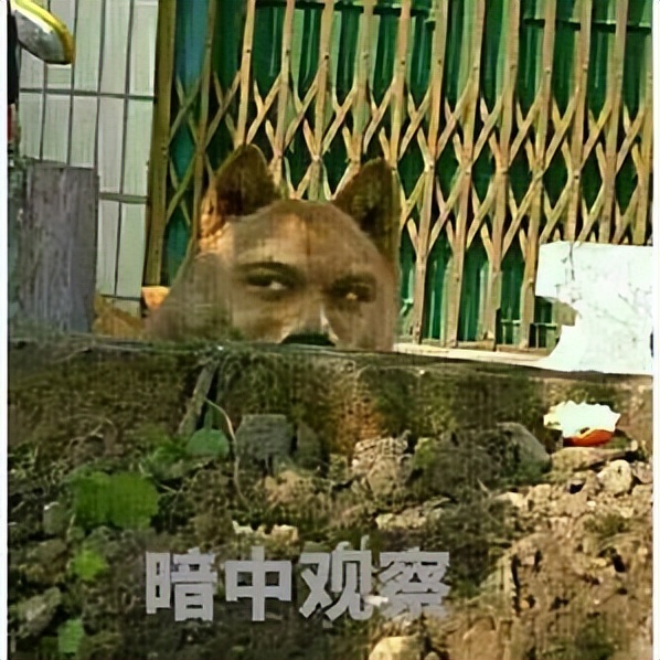 有什么白斑是不用治疗的,白斑怎样治疗才能消失呢