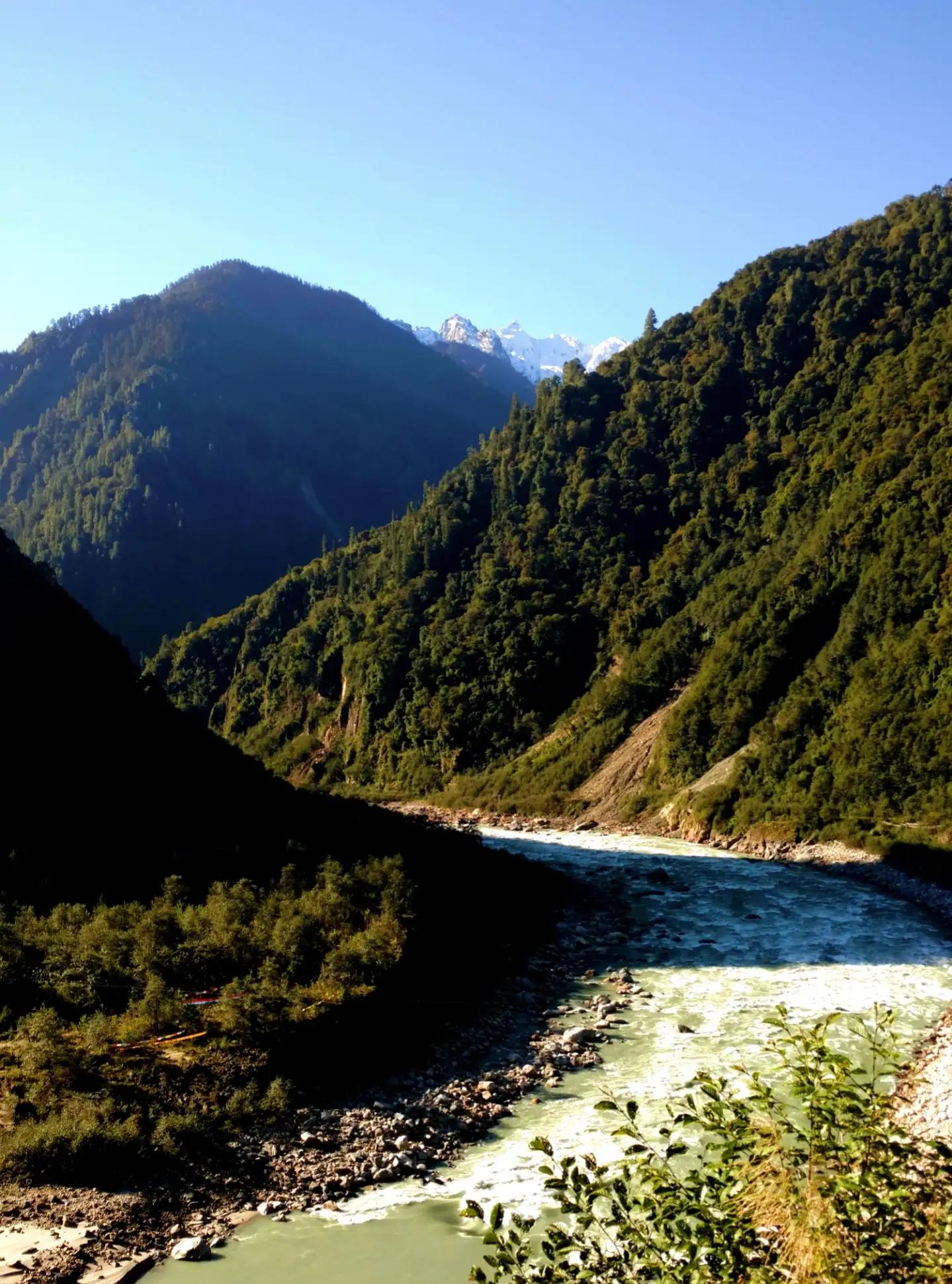 为什么欧洲的植被那么好,为什么欧洲的山都是草地