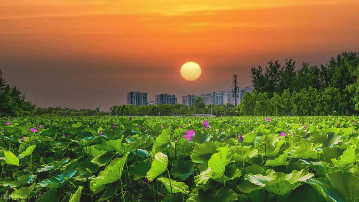 平谷区旅游景点免费,平谷区旅游景点图片