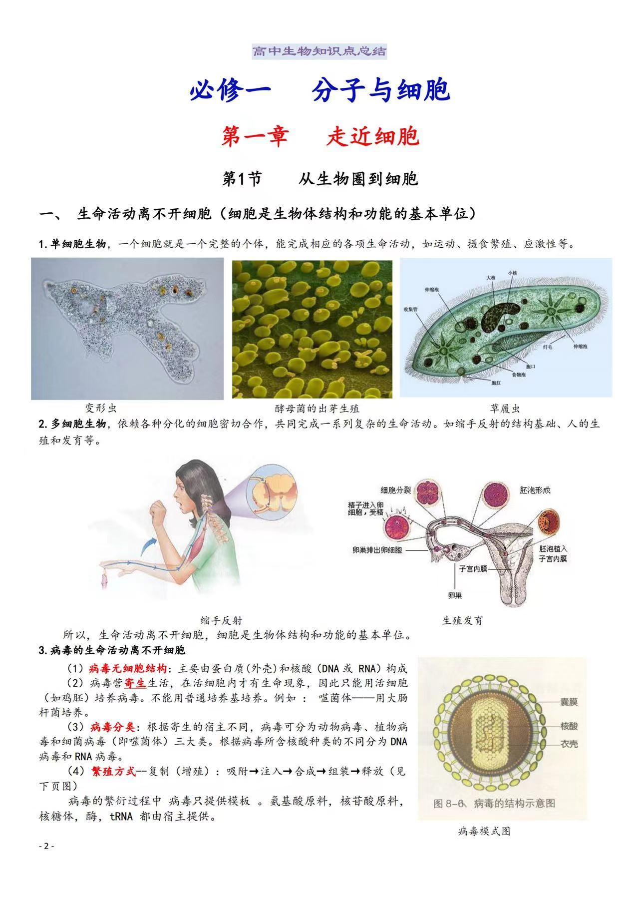 高中生物知识点大总结高考版,高中生物高三复习知识点