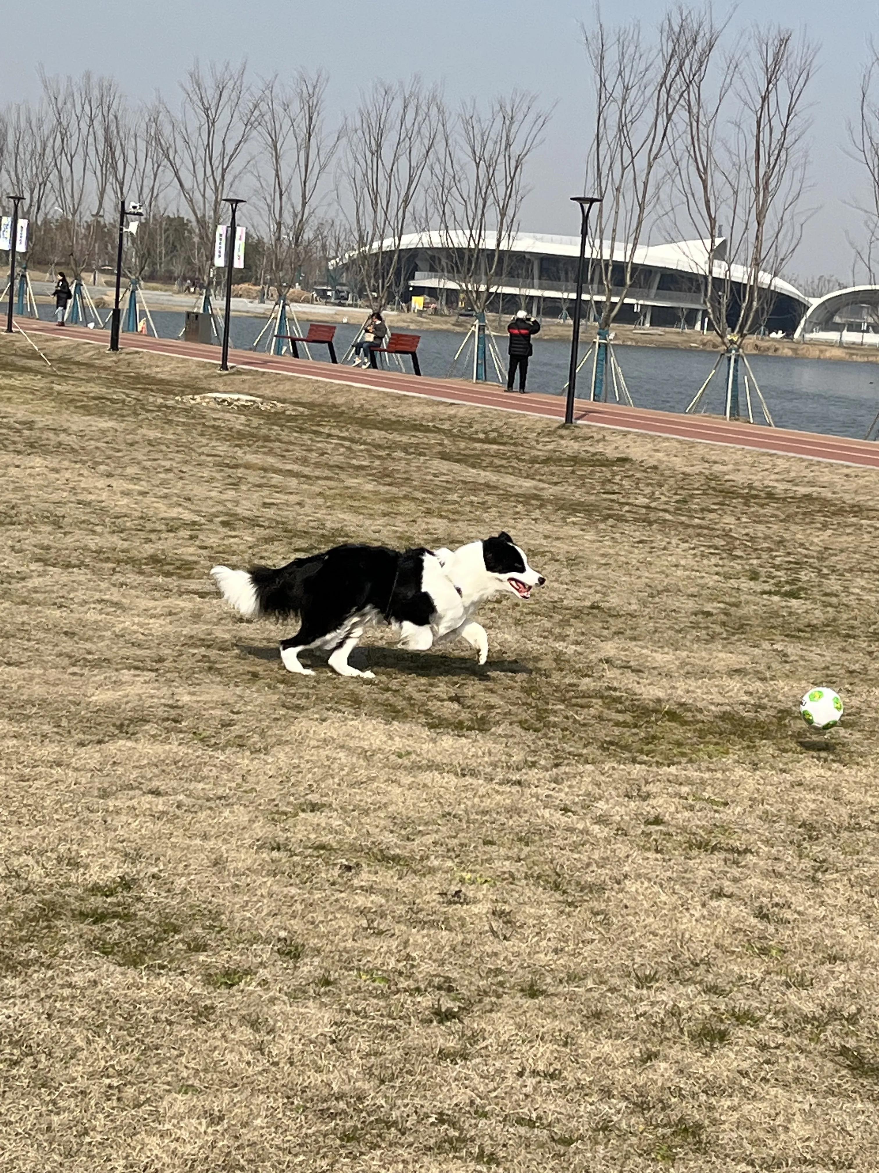 疫情时期的足球,疫情时候的足球
