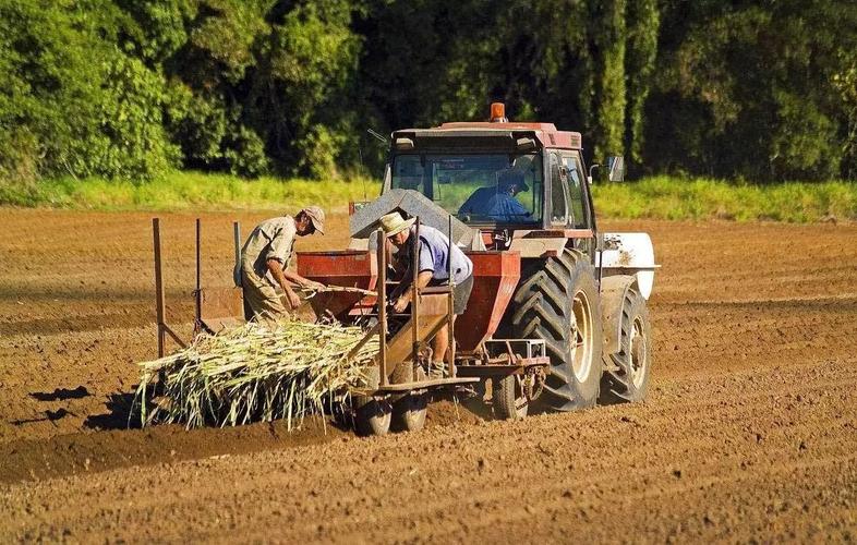 是不是每个农民都有自己宅基地,农田和宅基地的区别
