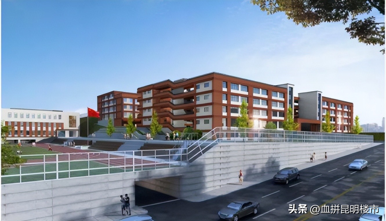 从小学到初中再到高中毕业,从小学到初中高中大学一路走来