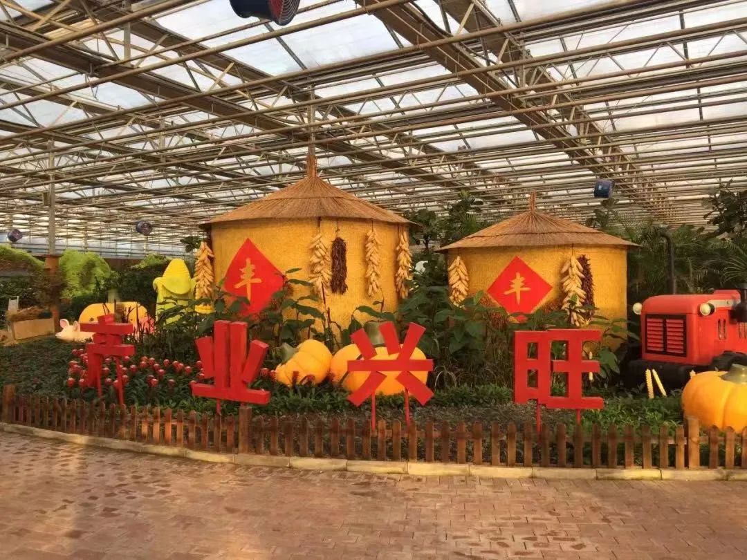 官宣开业倒计时100天,官宣开业倒计时