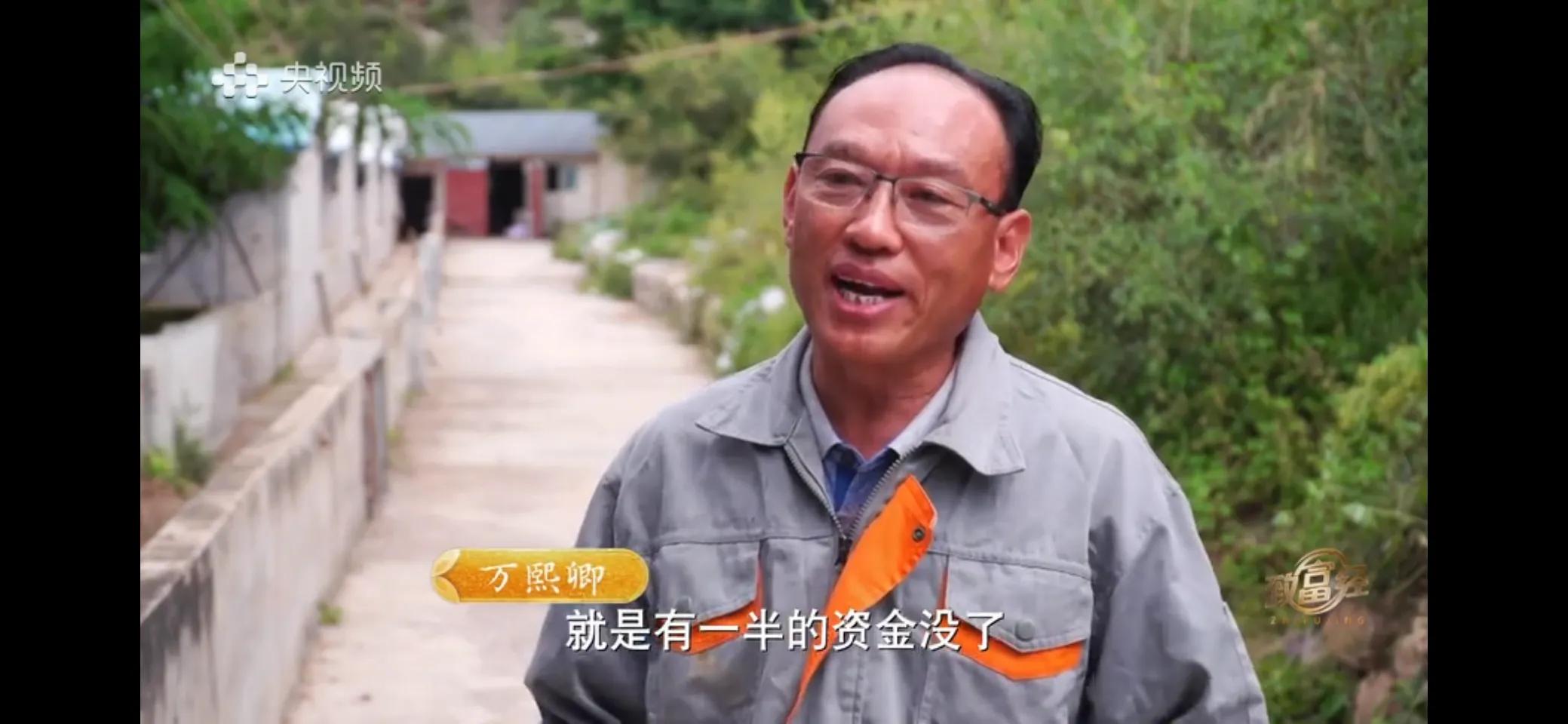 小伙子养猪5年后挣钱5多亿,农村小伙养猪赚过亿