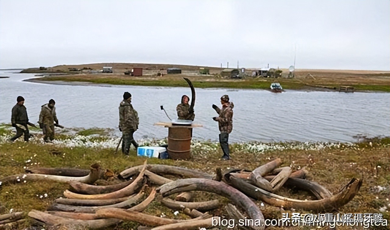 良心商家的大实话,良心卖家讲实话