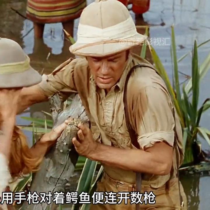 危险的非洲探险之旅#大象