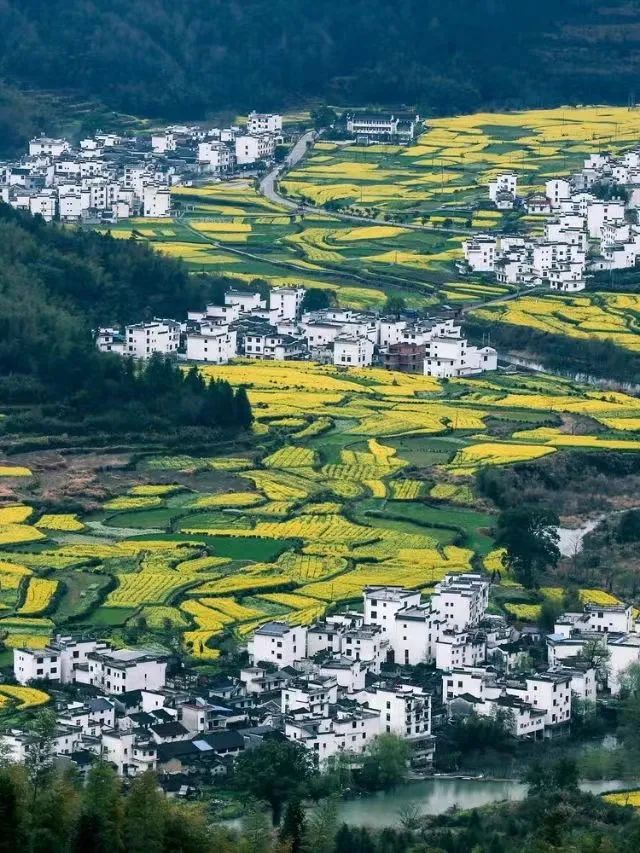 清明不用爬山游玩的地方,清明不踩坑的游玩推荐