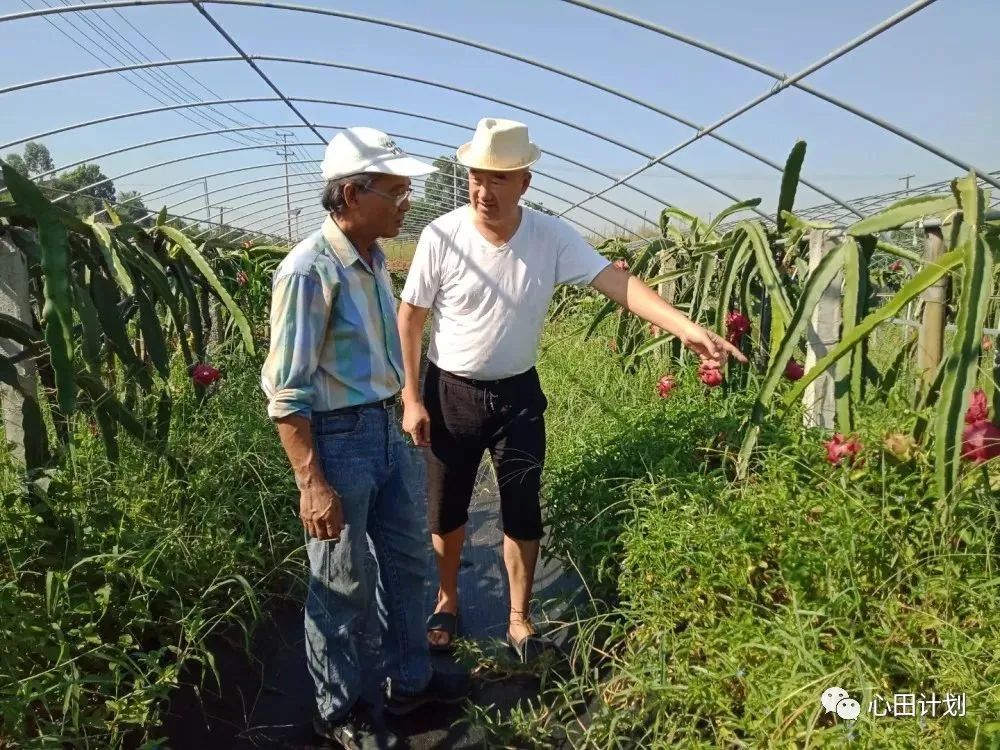陈荣三：台湾有句话，如果不把钱给有机农民，以后必定加倍给医生