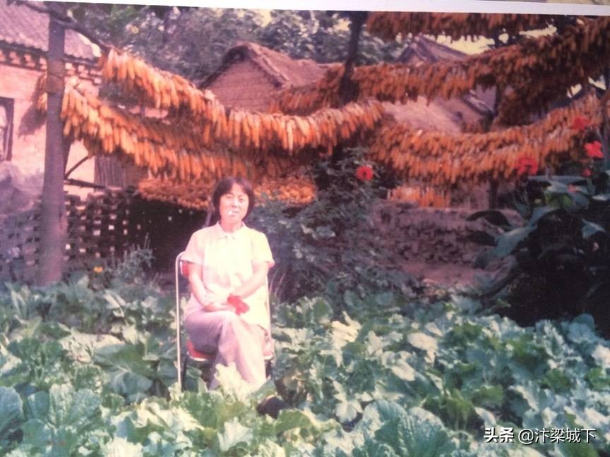 汴梁文学｜李旭：40年前我的那“半拉子”高考