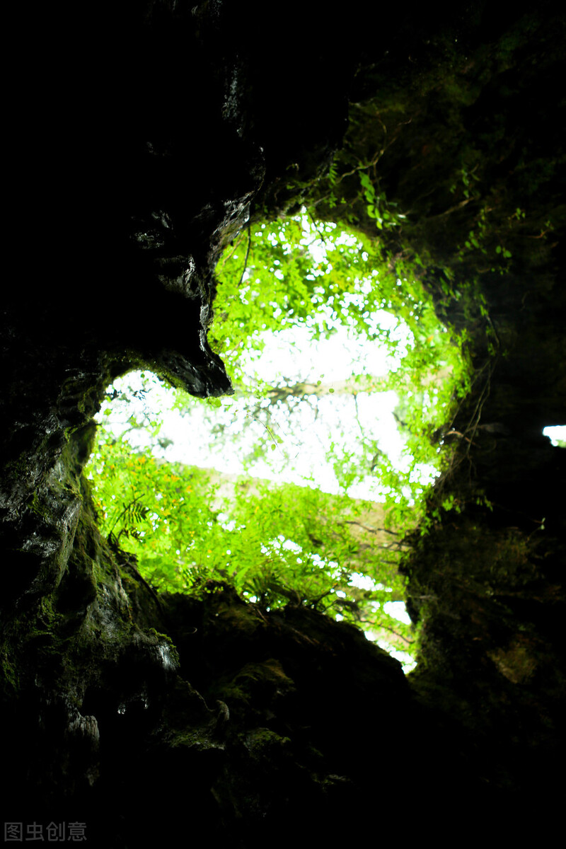 心灵鸡汤情感树洞,关于挫折和压力的心灵鸡汤