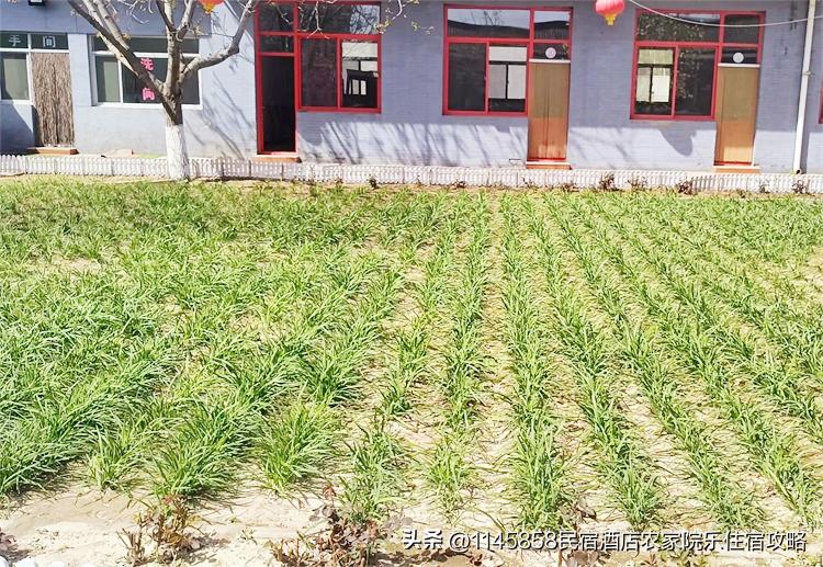 密云八方客农家大院,北京密云八方客农家大院