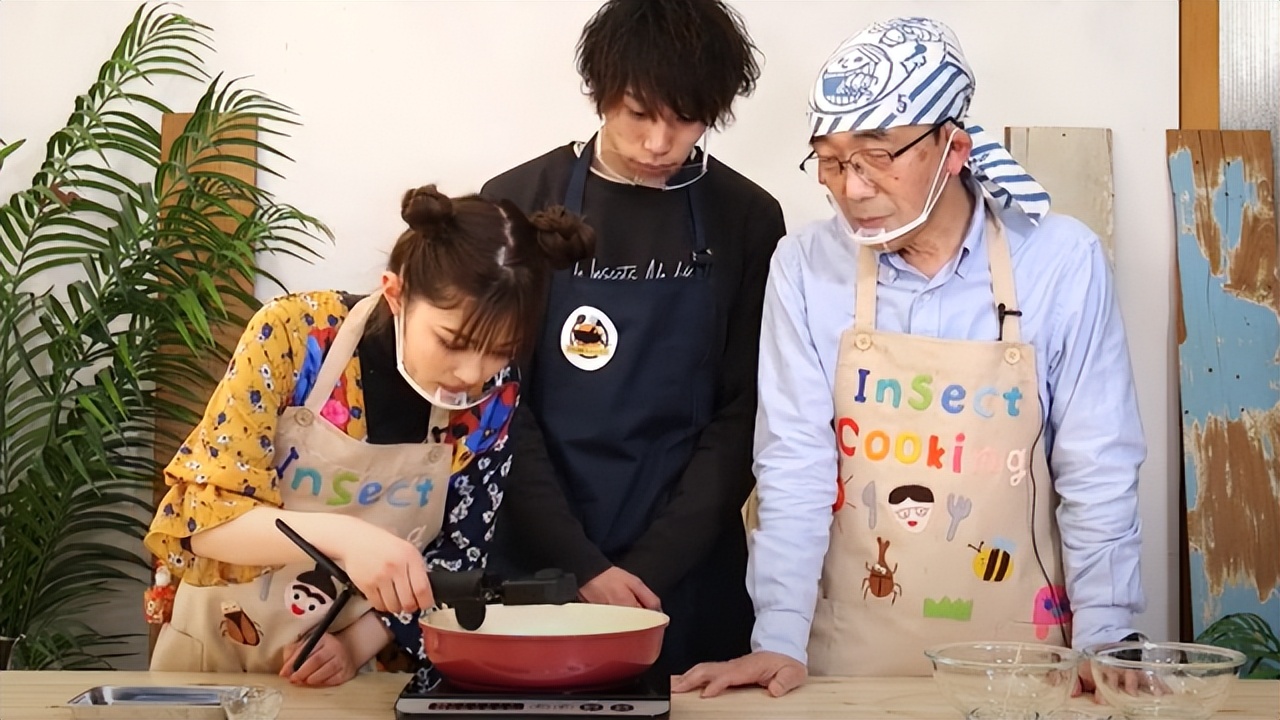 独角仙鹿角虫,鹿角虫和独角仙有什么区别