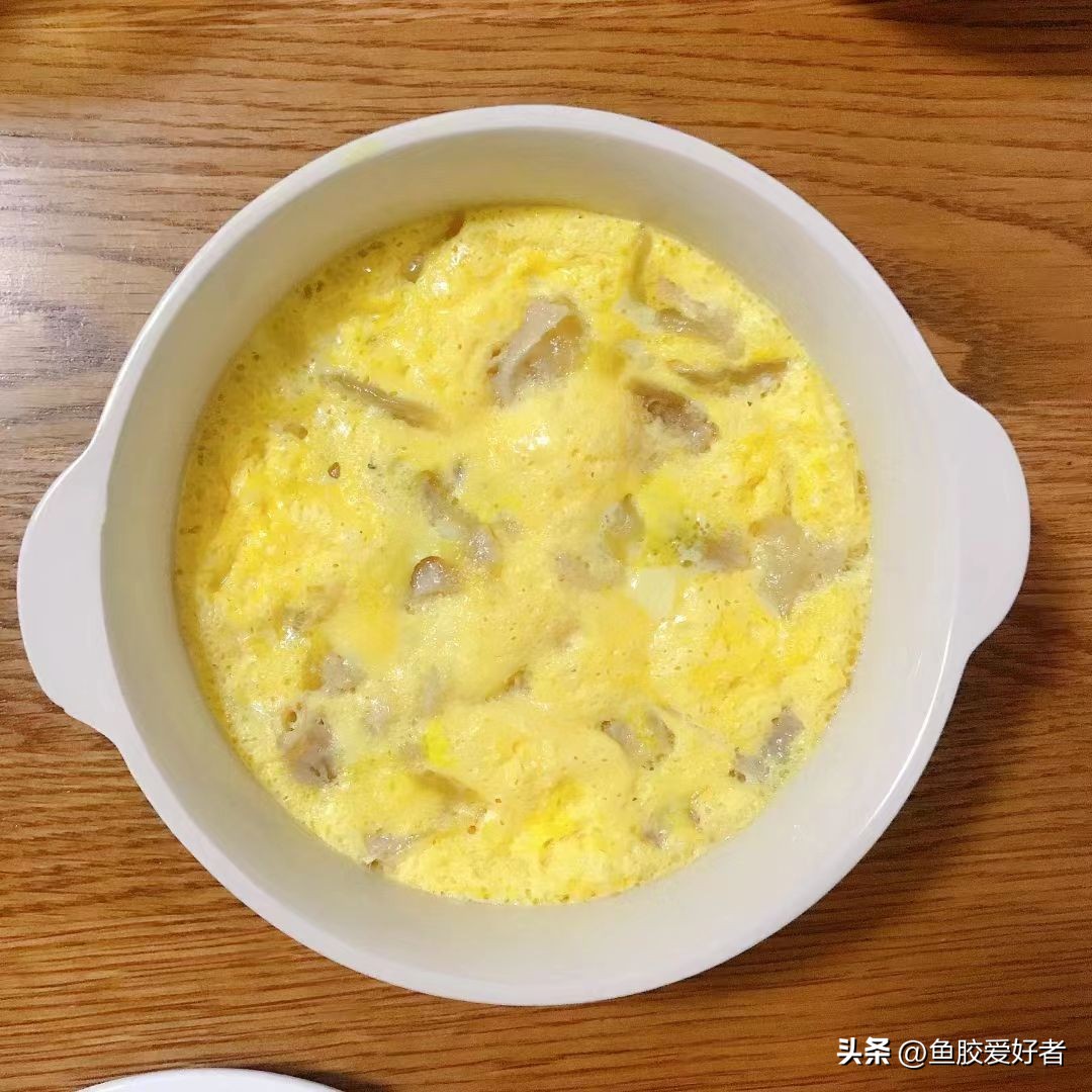 科普鱼胶赤嘴种类大全,关于鱼胶的知识讲座视频