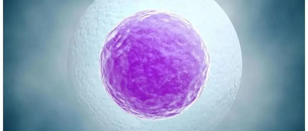 试管小白必看：女性的雌二醇数值达多少pg/mL可以取卵？